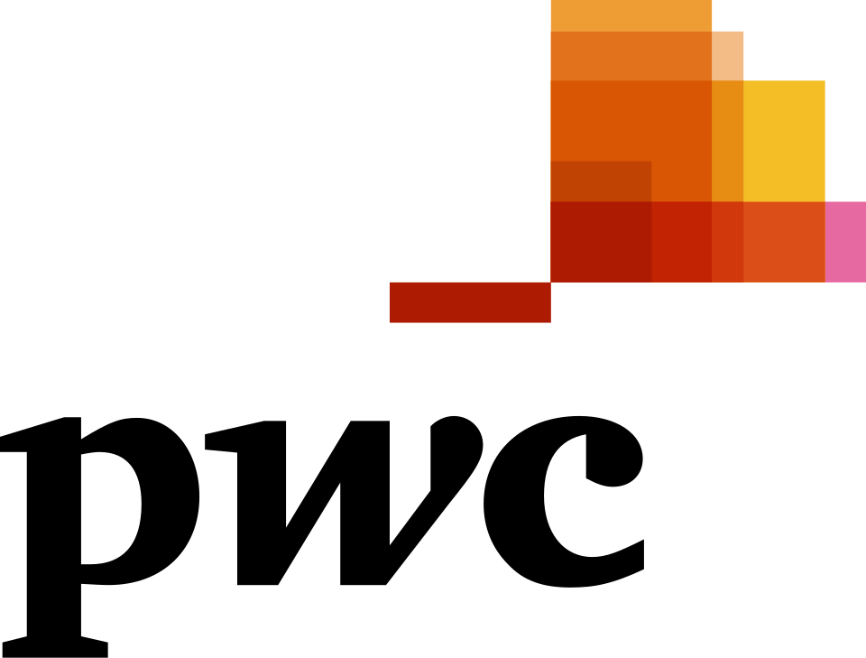 PwC 2010 logo — wordmark with multicolored geometric emblem designed by Wolff Olins